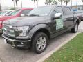 2015 F150 Platinum SuperCrew 4x4 #5 2015 F150 Platinum SuperCrew 4x4 #5