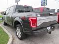 2015 F150 Platinum SuperCrew 4x4 #14 2015 F150 Platinum SuperCrew 4x4 #14