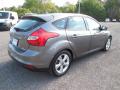 2014 Focus SE Hatchback #9