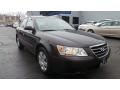 2009 Sonata GLS #3 2009 Sonata GLS #3