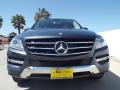 2015 ML 350 #2