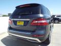 2015 ML 350 #4