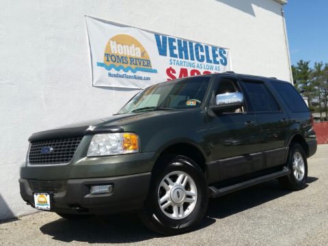 Estate Green Metallic Ford Expedition XLT 4x4.  Click to enlarge.