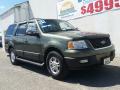 2004 Expedition XLT 4x4 #23