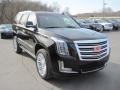 Front 3/4 View of 2015 Cadillac Escalade Platinum 4WD #2