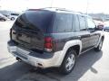 2004 TrailBlazer LT 4x4 #9