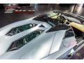 2013 Aventador LP 700-4 Roadster #71