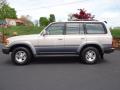  1995 Toyota Land Cruiser Desert Dune Metallic #3