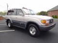  1995 Toyota Land Cruiser Desert Dune Metallic #9