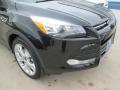 2015 Escape Titanium #2 2015 Escape Titanium #2