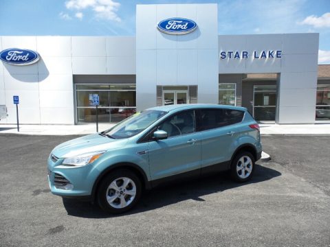 Frosted Glass Metallic Ford Escape SE 1.6L EcoBoost 4WD.  Click to enlarge.