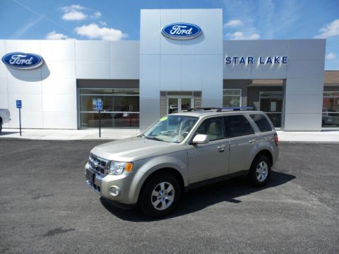 Gold Leaf Metallic Ford Escape Limited V6 4WD.  Click to enlarge.