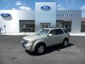 2011 Escape Limited V6 4WD #1