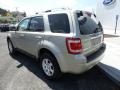 2011 Escape Limited V6 4WD #3