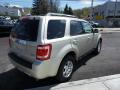 2011 Escape Limited V6 4WD #6