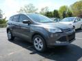 2015 Escape SE 4WD #1