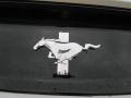 2015 Mustang V6 Coupe #14