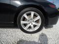 2004 TSX Sedan #16