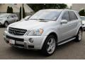 2008 ML 63 AMG 4Matic #7