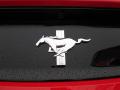 2015 Mustang V6 Coupe #8 2015 Mustang V6 Coupe #8