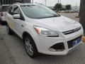 2015 Escape Titanium #1 2015 Escape Titanium #1