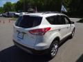 2013 Escape SEL 2.0L EcoBoost 4WD #7