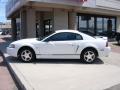 2001 Mustang V6 Coupe #2