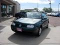 2001 Cabrio GLS #9