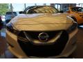 2016 Maxima S #6