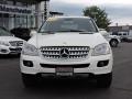 2008 ML 320 CDI 4Matic #2