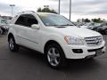 2008 ML 320 CDI 4Matic #3