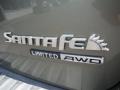 2007 Santa Fe Limited 4WD #8