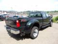 2016 F450 Super Duty XL Crew Cab 4x4 #3 2016 F450 Super Duty XL Crew Cab 4x4 #3