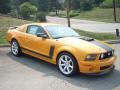 2007 Mustang Saleen Parnelli Jones Edition #1 2007 Mustang Saleen Parnelli Jones Edition #1