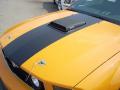 2007 Mustang Saleen Parnelli Jones Edition #7 2007 Mustang Saleen Parnelli Jones Edition #7