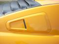 2007 Mustang Saleen Parnelli Jones Edition #14 2007 Mustang Saleen Parnelli Jones Edition #14