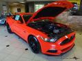 2015 Mustang Roush Stage 1 Pettys Garage Coupe #1