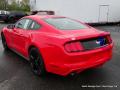 2015 Mustang EcoBoost Coupe #3