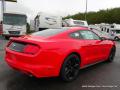2015 Mustang EcoBoost Coupe #5