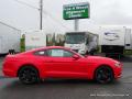 2015 Mustang EcoBoost Coupe #6