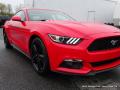 2015 Mustang EcoBoost Coupe #30