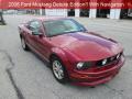 2007 Mustang V6 Premium Coupe #1