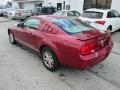 2007 Mustang V6 Premium Coupe #9