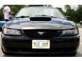 2001 Mustang Bullitt Coupe #3