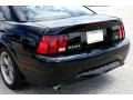 2001 Mustang Bullitt Coupe #15