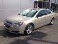 2010 Malibu LS Sedan #1 2010 Malibu LS Sedan #1