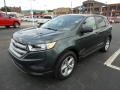 2015 Edge SE #8 2015 Edge SE #8
