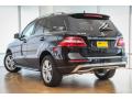 2015 ML 350 #3