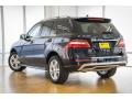 2015 ML 350 #3