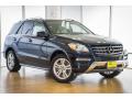 2015 ML 350 #12